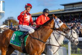 Nash Rawiller, pictured at the 2024 Warrnambool May Racing Carnival, has been offered the ride on Tuvalu in a Group One Race. Picture by Eddie Guerrero