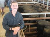 Cadarga Springs manager Joel Lucas, Birregurra, yarded 119 cattle at the feature female sale.