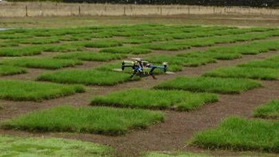 On display: A drone flies over the world's largest ryegrass trial at DairyBio.