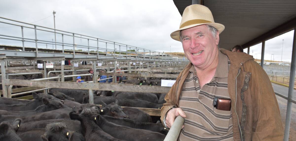 Happy: Jamie Simpson of Nullawarre sold this pen of Angus steers, averaging 357 kilograms, for 370c a kilogram at the Warrnambool weaner sale. 