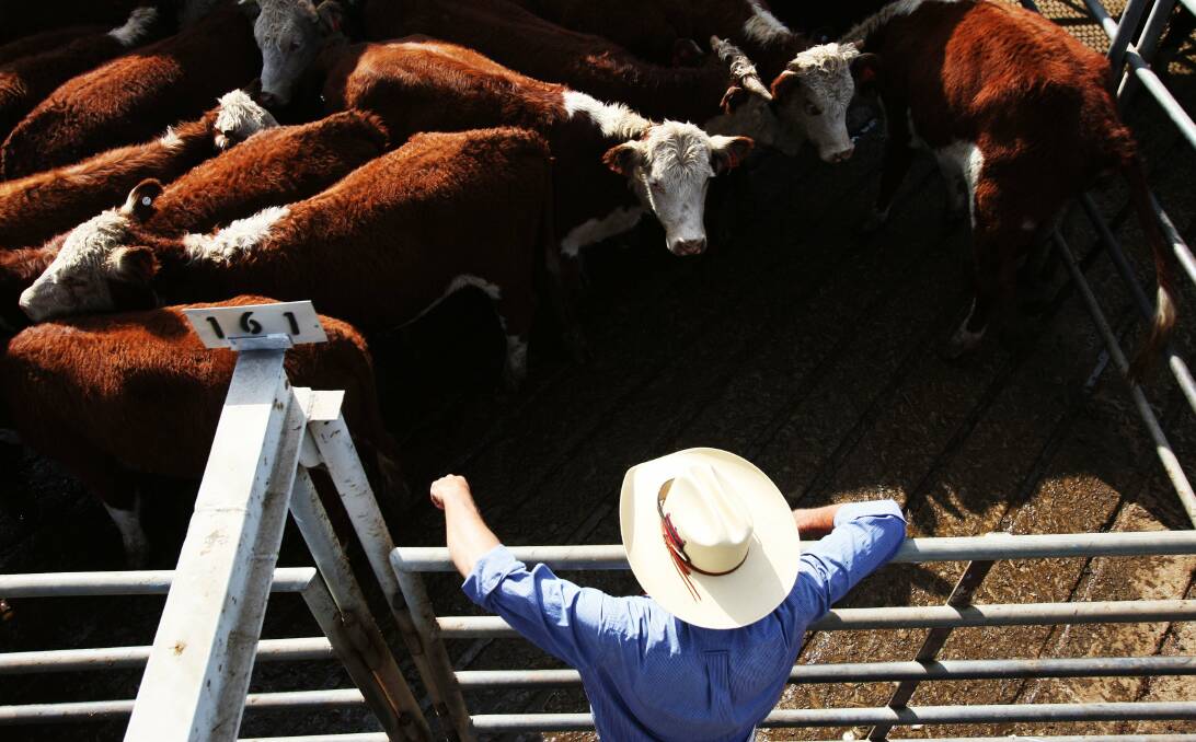 Producer benefits: A Meat and Livestock Australia study has found mandatory price reporting along the beef supply chain could benefit producers. 