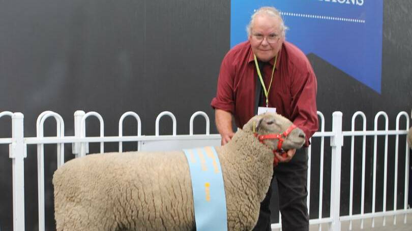 Barry Shalders, of Willow Drive South Suffolks at Grassmere, with the Supreme Champion South Suffolk, a ram. 