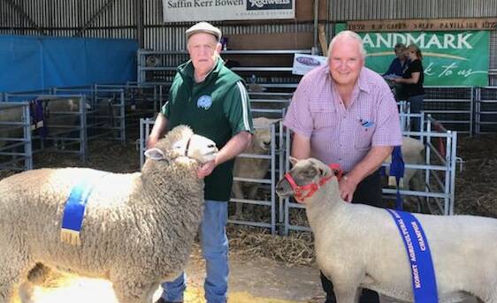 Tops: Jim Bligh, left, of "Killmery" stud with the Supreme Sheep winner at the Koroit show with Barry Shalders of "Willow Drive" stud with All Breeds Ewe winner.