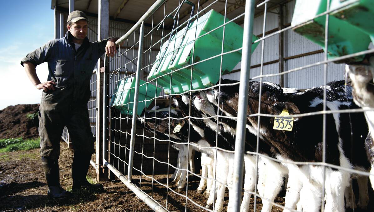 A Dairy Australia study done in western Victoria has proven the benefits of feeding fortified milk to pre-weaned calves. 