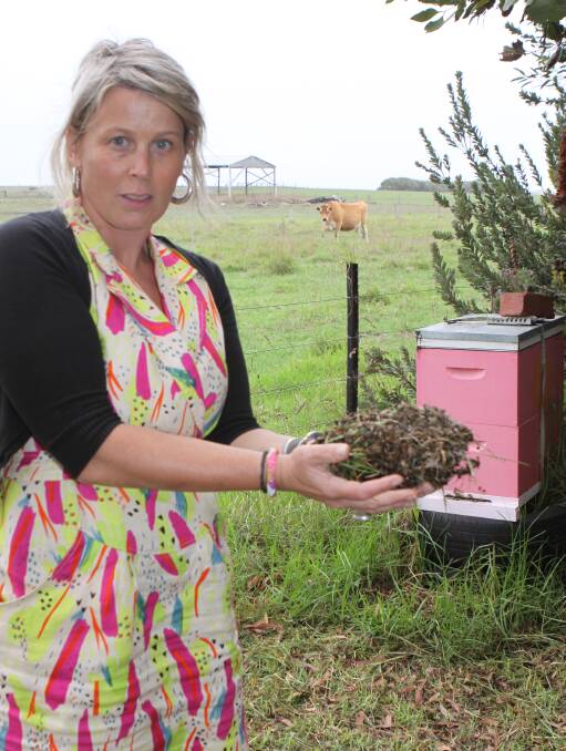 Non-target: Chelsea Fox with some of the tens of thousands of bees killed on her Killarney property by insecticide. Picture: Everard Himmelreich 