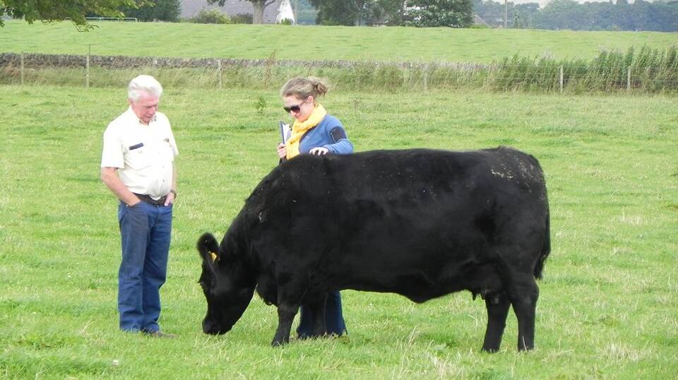 Native Angus: Georgie Soutar and his daughter Louise with a Native Angus, the breed which the Soutars have helped flourish. Mr Soutar and his wife Julia will be at Alto Angus's Beef Week field day at Caramut on February 2.