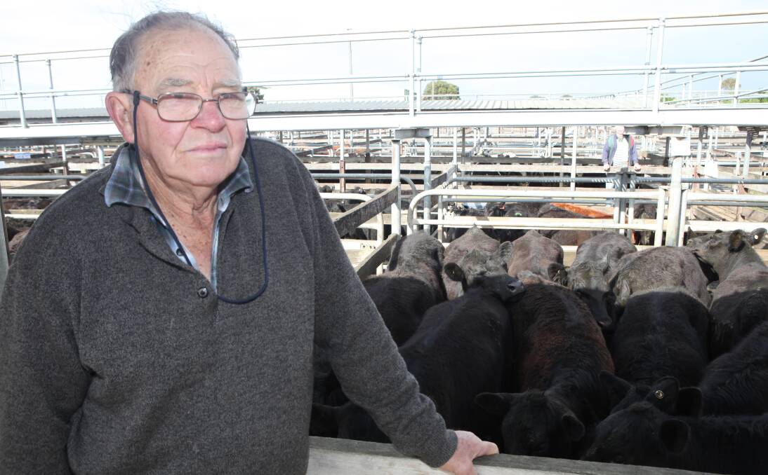 Enjoying the high: Nirranda beef and dairy producer Robert Morey said the prices he received at Friday's Warrnambool store cattle sale were "very satisfactory." Pictures: Everard Himmelreich 
