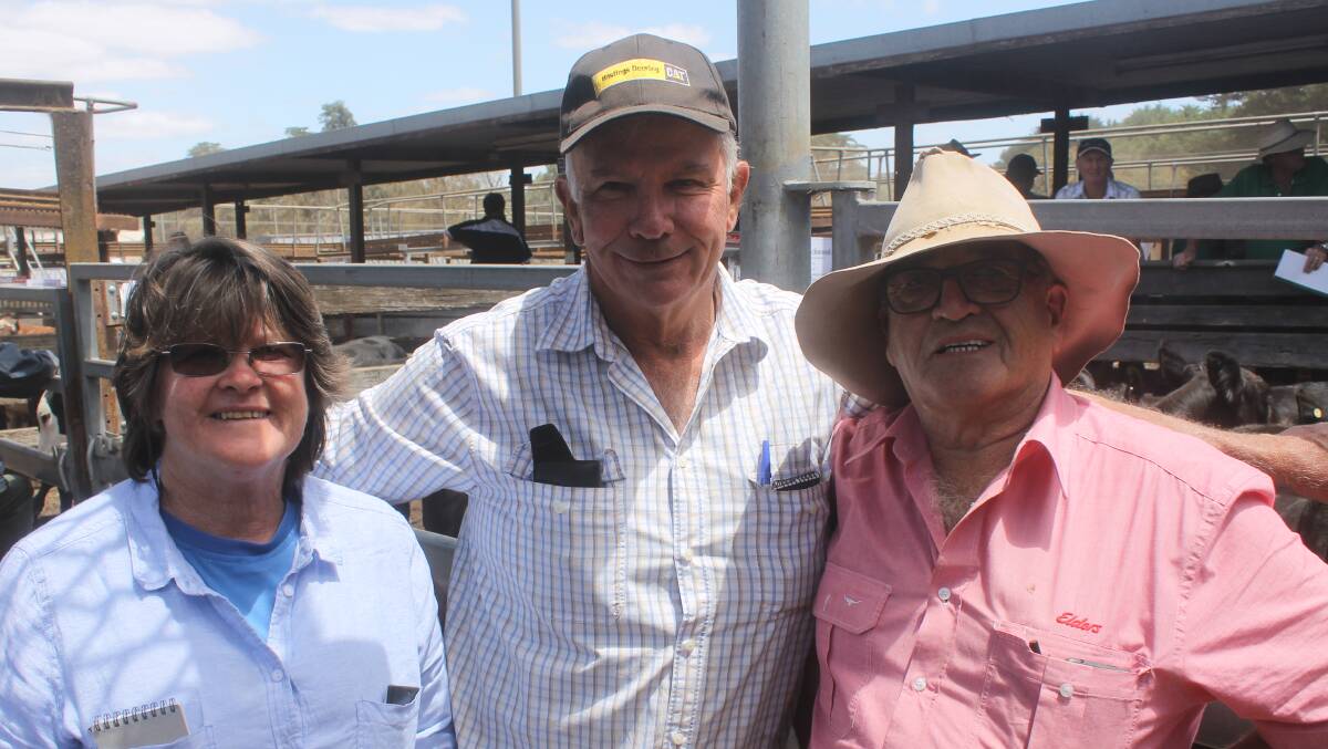 Selling: Julie and Kevin Wyatt, of Mount Richmond, were assisted by Alan Lakey, Elders Heywood, in the sale of their Wright Swamp Angus steers on Day Two of the Hamilton weaner sales.

