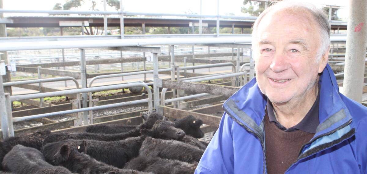 Rewarding: Hawkesdale farmer Tom Robinson said the store cattle prices he has received have been the best in his 60-plus years on the land.