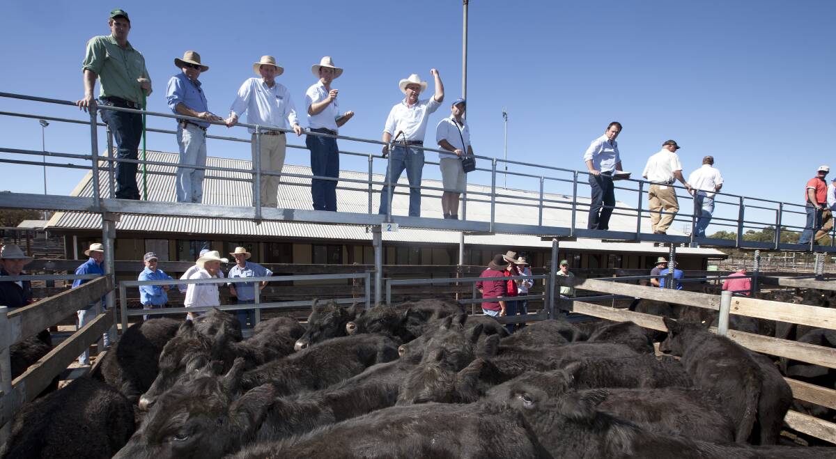 Monitoring: The Victorian Farmers Federation has called for an independent body to monitor livestock prices. 