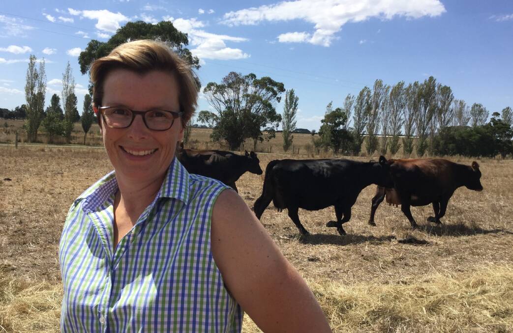 Finalist: Catherine Jenkins of South Purrumbete is a finalist for the Victorian Rural Women's Award that will be announced on March 22.