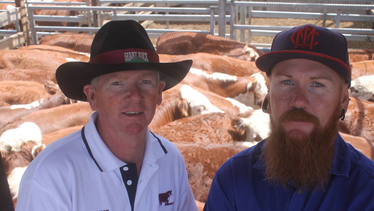 Hopeful: Ron Beaton and son Travis, of Wando Dale north west of Coleraine, were hopeful of more but satisfied with the prices paid for their EU Hereford steers. The steers sold to $1174 a head.