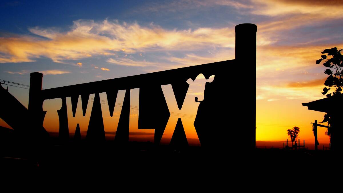 Good result: A successful cattle charity auction was held at the new WVLX. 