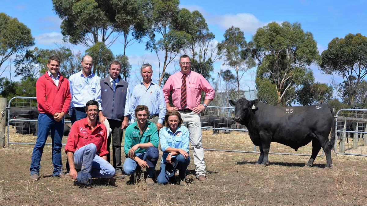 Top: With the $15,500 top-priced bull are buyers Jack Rowe (back left) and Luke Bavistock, Keith agent Jono Spence, Coolana's Mark Gubbins, Elders' Ross Milne, and Coolana's Martin Beltrame (front left) and Max and Anna Gubbins, 