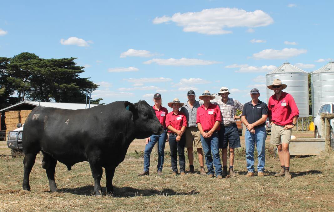 Good prices: Weeran's Claire Moore, left, Leah Drendel, Tim Wright, Tom French, all in red shirts, with top priced bull buyers Gerard and Peter Ryan of Hawkesdale and agent Glenn Judd.