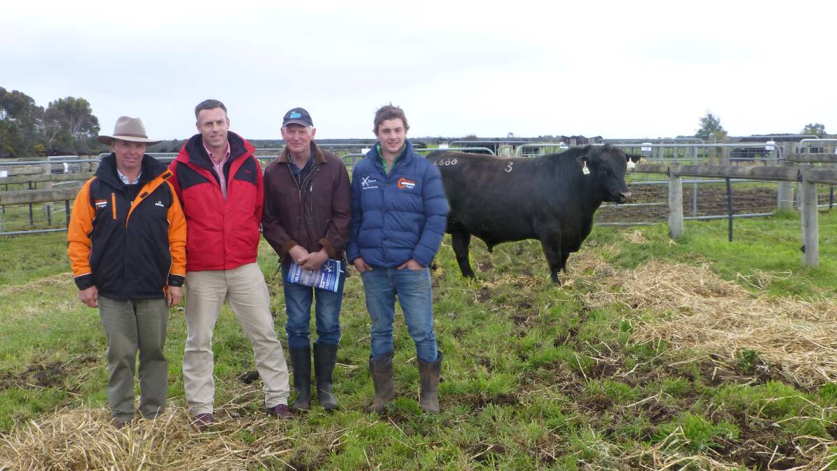 In the lead: Coolana's Mark (left) and Max (right) Gubbins, Elders' Hayden Lanyon, and buyer of the top-priced bull Gerard Hiscock, of Hamilton.