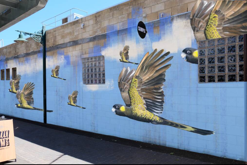 WOW: A mock-up of Warrnambool artist Jimmi Buscombe's placemaking mural for the Ozone Walk, off Koroit Street. Buscombe won the first Beers and Ideas event.  