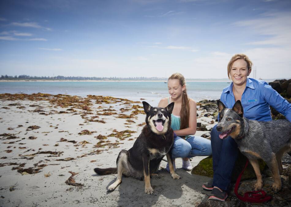 ANIMAL LOVER: Warrnambool RSPCA supervisor Tracey Scott features on the latest White Pages cover. 