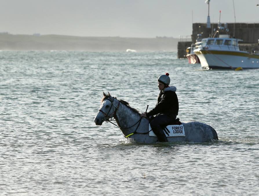 BEACH VIBES: Crossley trainer Mitch Freedman aboard grey stallion and Queen Elizabeth Stakes winner Puissance De Lune at Warrnambool's Lady Bay beach in 2013. Picture: Rob Gunstone