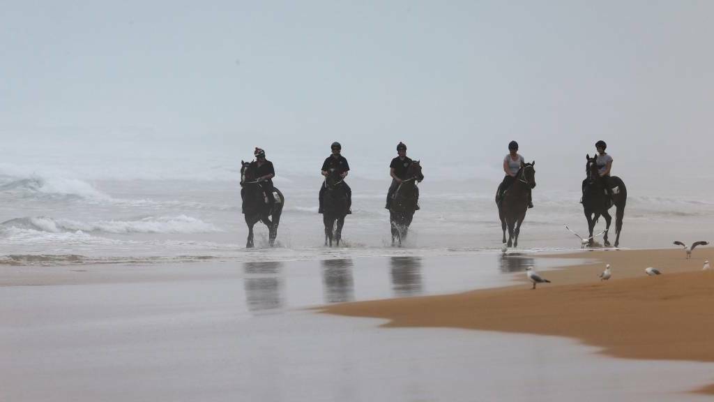 NOT RETURNING ANYTIME SOON: Horses exercise on Levys Beach in 2017. Warrnambool councillor Mike Neoh says it is unlikely horses will return soon. 