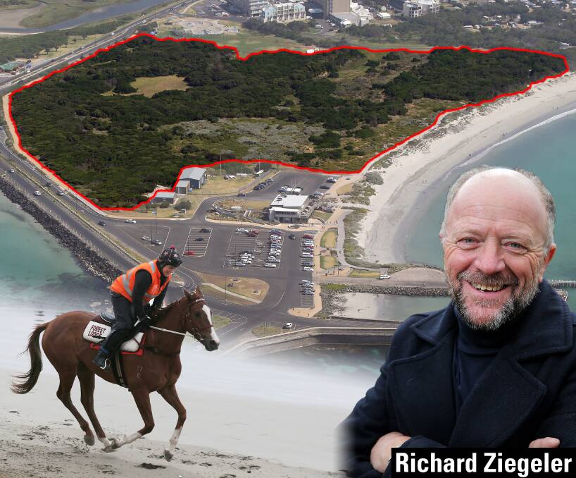 HORSE SOLUTION: Richard Ziegeler has suggested the area between Warrnambool's Lady Bay beach and Viaduct Road could be transformed into a horse training facility.