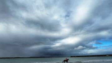 A horse trains on Warrnambool's main beach on Thursday, April 25 ahead of the May Racing Carnival.
