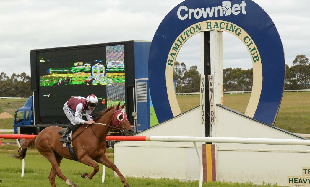 GOOD DAY OUT: Darren Weir-trained Leica Day took out Sunday's Hamilton Cup. Picture: Todd Nicholson/Racing Photos via Getty Images