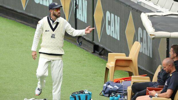Out of favour: Glenn Maxwell on 12th man duties for Victoria at the MCG. Photo: Scott Barbour