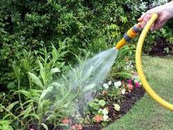 A garden hose has been used to whip an anti-drug step-father in Hamilton.