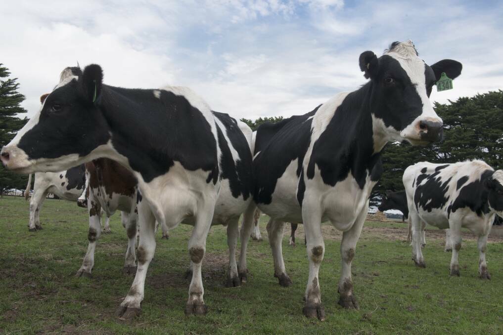Tough times are predicted for the dairy industry, says an expert. 