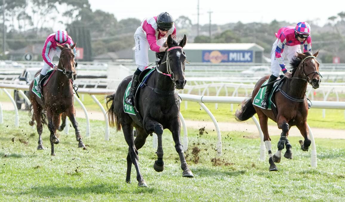 Smart jumper Affluential (centre, Willie Gordon) swoops to the front late to win a 3200m hurdle on Thursday at Warrnambool. Photo by George Sal/Racing Photos.