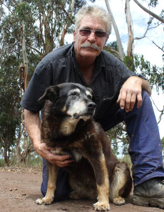 DOG DAYS: Woolsthorpe farmer Brian McLaren says his beloved dairy dog Maggie could be as old as 30 this year. Picture: Jono Pech