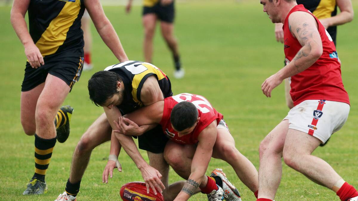 Who will win the Dogs-Tigers blockbuster? | WDFNL video