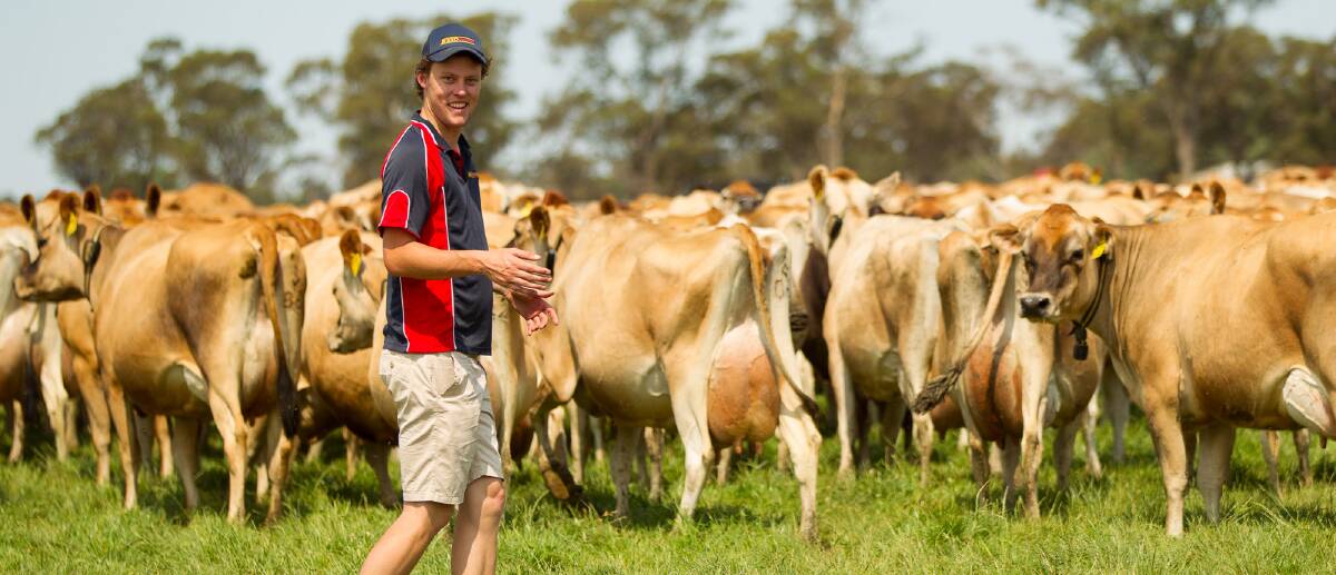 Reid Stockfeed nutritionist Daniel Bacon. Summer means it's time to maintain production as much as possible as the grass dries off.