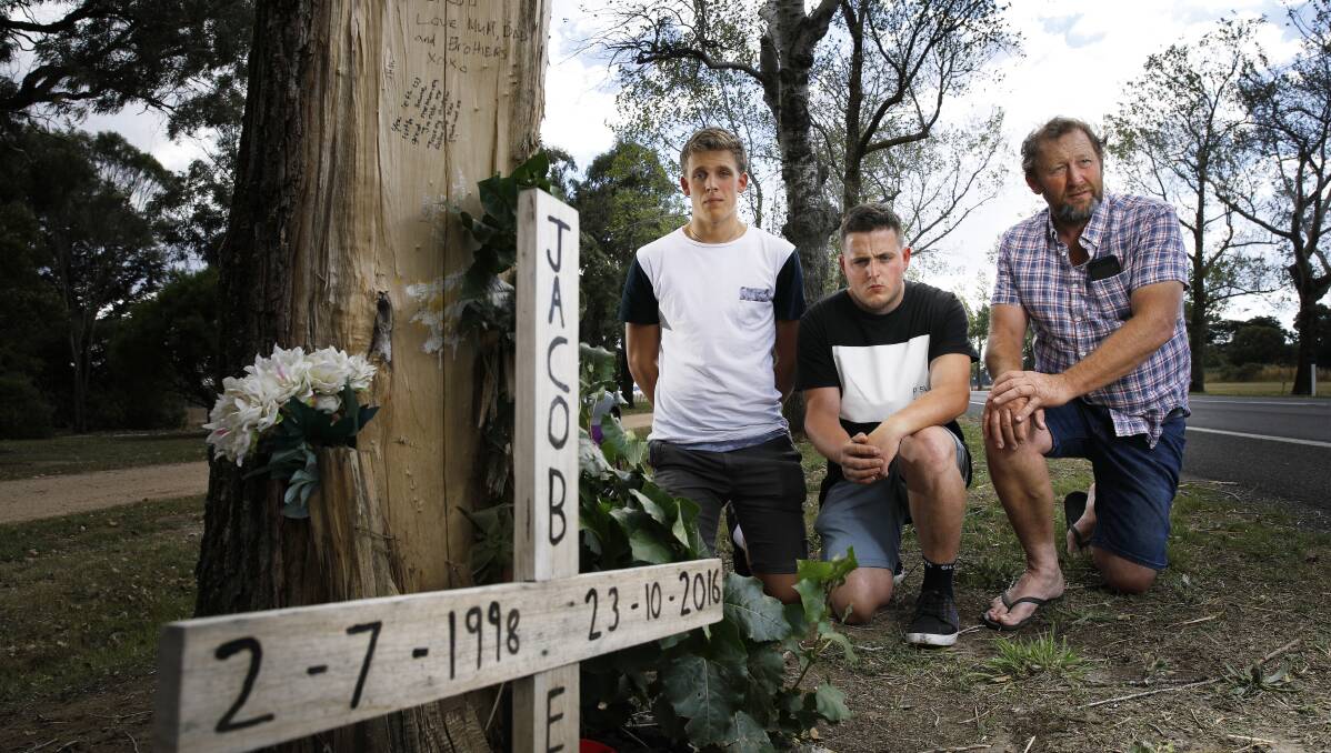 CHANGE: Hamish, Zac and Robert Everett are calling for the installation of roadside barriers along the Avenue of Honour. Picture: Luka Kauzlaric 