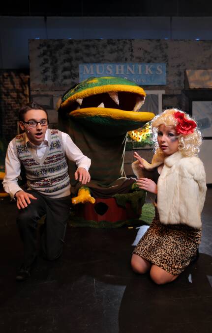 Shock horror: Warrnambool College students James Laughton, 17, and Aislinn Primmer, 15, with Audrey 2, are starring in Little Shop of Horrors. Picture: Rob Gunstone