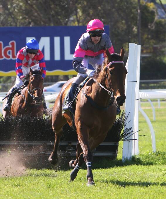 Retired: Hissing Sid being ridden to a win by jockey Brad McLean at Warrnambool last year. The stayer, trained by Symon Wilde, won two Warrnambool Cups before embarking on a successful jumps career.  Picture: Angela Milne