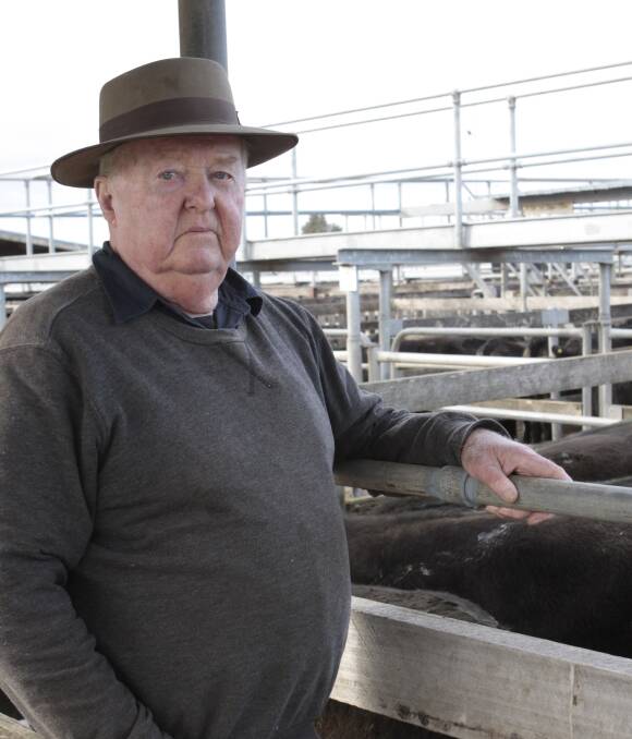 Lifetime on the land: Grassmere farmer Jim Miller has reared cattle in the south-west for almost all his life and is one of many farmers benefiting from beefy cattle prices this year. Photo: Steff Wills 