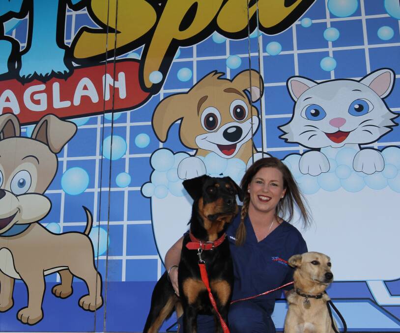 Dog wash for charity: Vet nurse Tarryn Hawker has organised a $10 dog wash on Saturday, raising funds for rare cancer research. Picture: Steff Wills