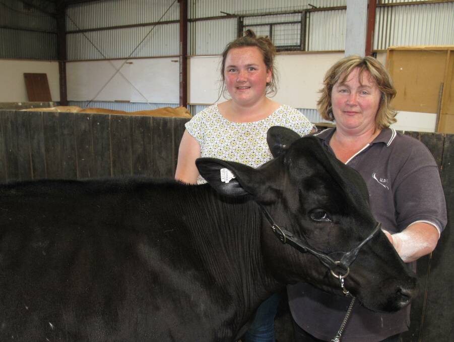 Voice of many: Carpendeit farmer Donna Edge has been appointed to the Dairy Levy Poll Advisory Committee, representing dairy-levy payers in the south-west. Photo: Everard Himmelreich
