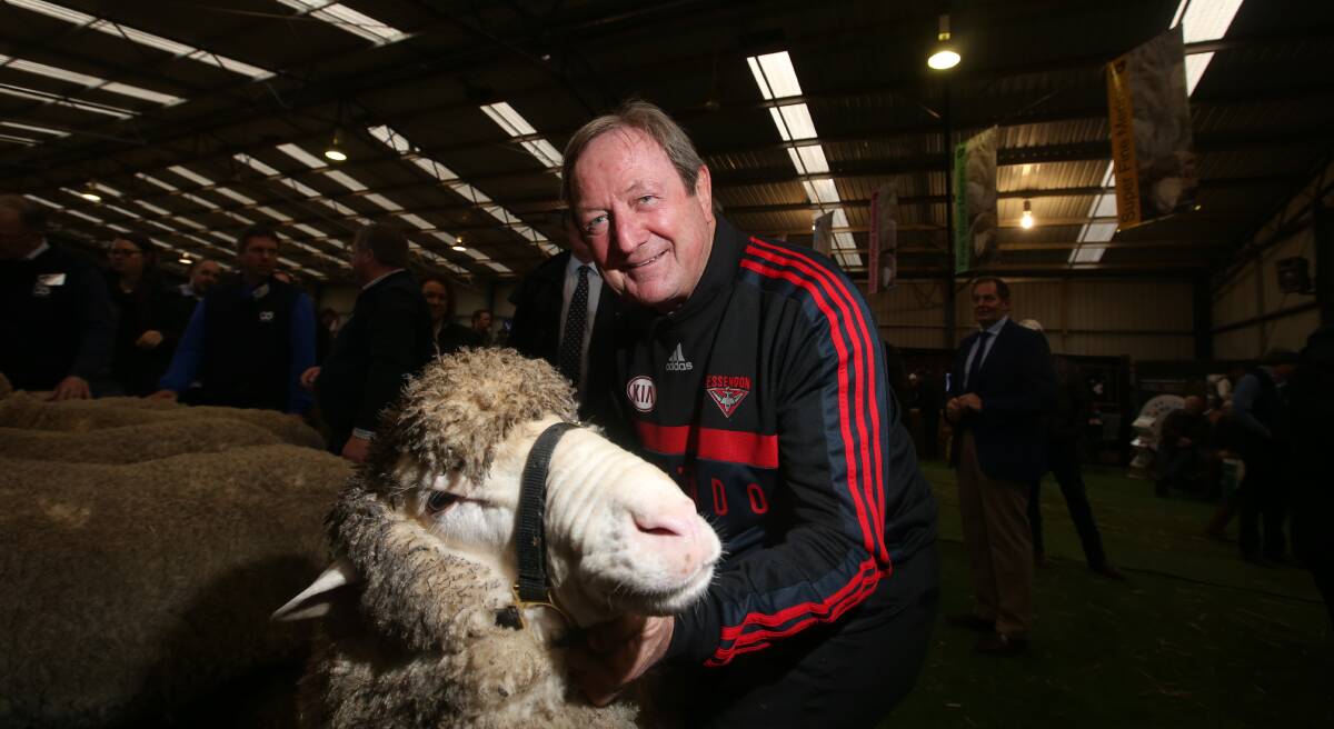 Kicking goals for farmers: Former Essedon AFL coach Kevin Sheedy and Bomber the sheep starred in the official opening of Sheepvention 2016. Picture: Vicky Hughson