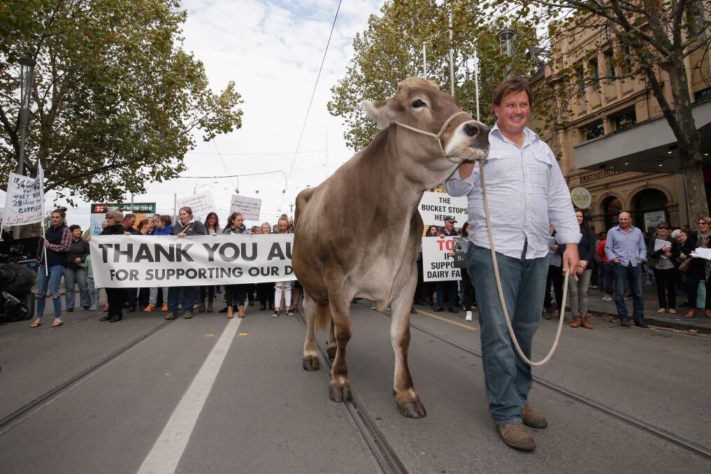 Dairy farmers rallied in Melbourne on Wednesday.