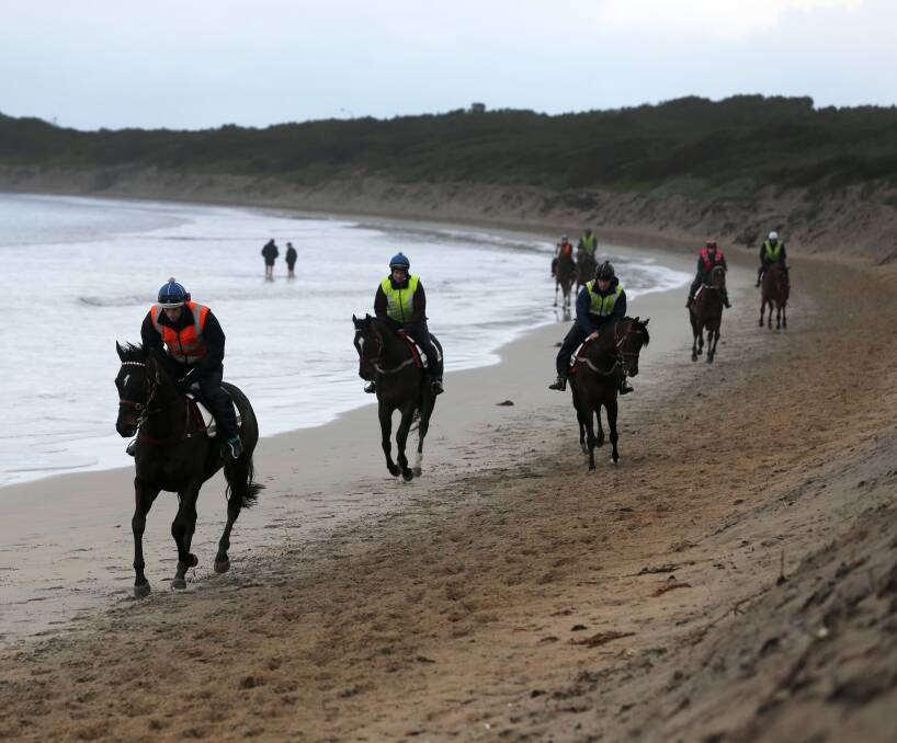 WHOA THERE: With commercial horse training ceasing at Lady Bay (pictured) and Killarney Beach in December, local trainers are keen to find a new home. Picture: Rob Gunstone