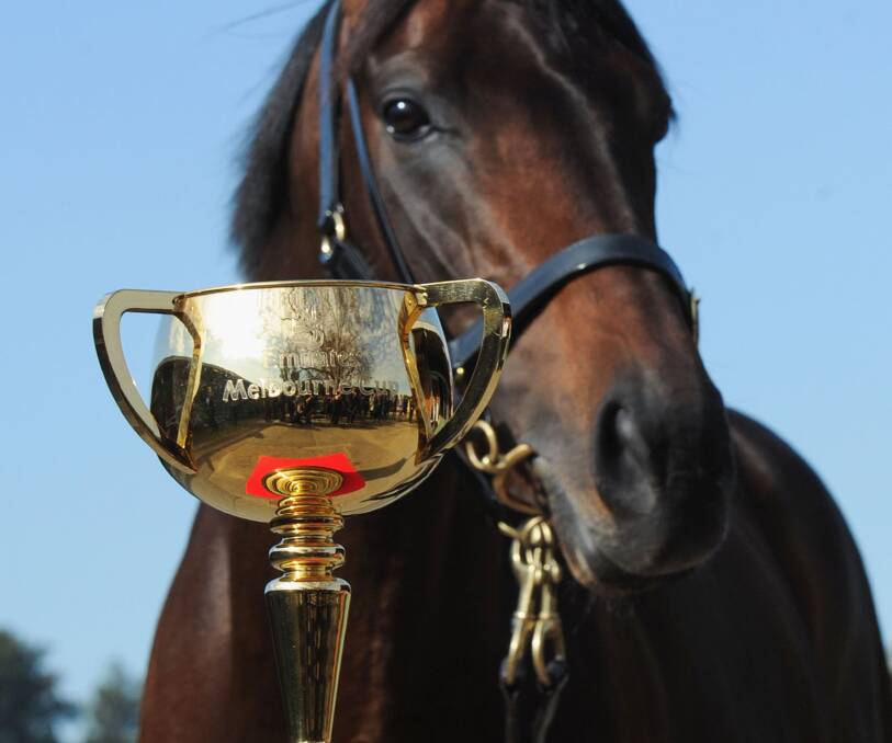 CUP OF GOLD: The Melbourne Cup, pictured with Mongolian Khan from the Murray Baker stable in New Zealand, is coming to Casterton on Thursday.