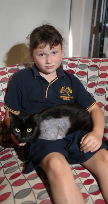 Cruel: Port Fairy's Riley Leske, 8, with her cat Darryl, who lost his front leg. Picture: Amy Paton