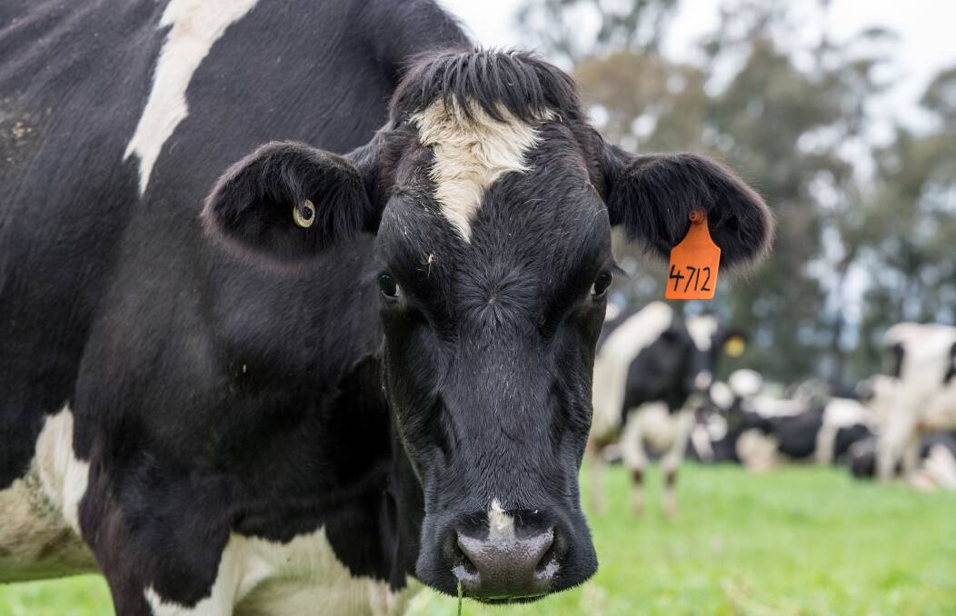 One-stop support centres planned for dairy farmers