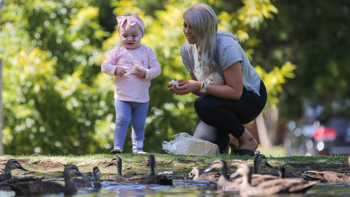 Fun with mum: Lexi Davies, 2, and mum Kirrily Payne have some time out in Warrnambool Botanic Gardens feeding the ducks before Lexi's next round of Leukaemia treatment. Picture: Morgan Hancock