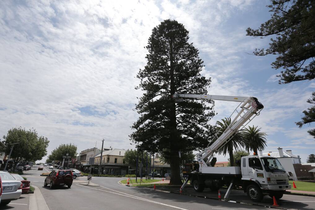 Update: Water main replacement works will be conducted at the southern end of Liebig Street, between Timor and Merri streets, after the aging infrastructure was damaged by Norfolk pine tree roots. 