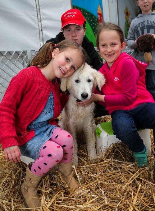 Hands on: Port Fairy's Adelle Gibson, 5, and Leila Gibson, 8, with a maremma puppy at Warrnambool's Fun4Kids Festival, as Emmanuel College student Samuel Houston, 15, from Purnim watches on. Picture: Rob Gunstone