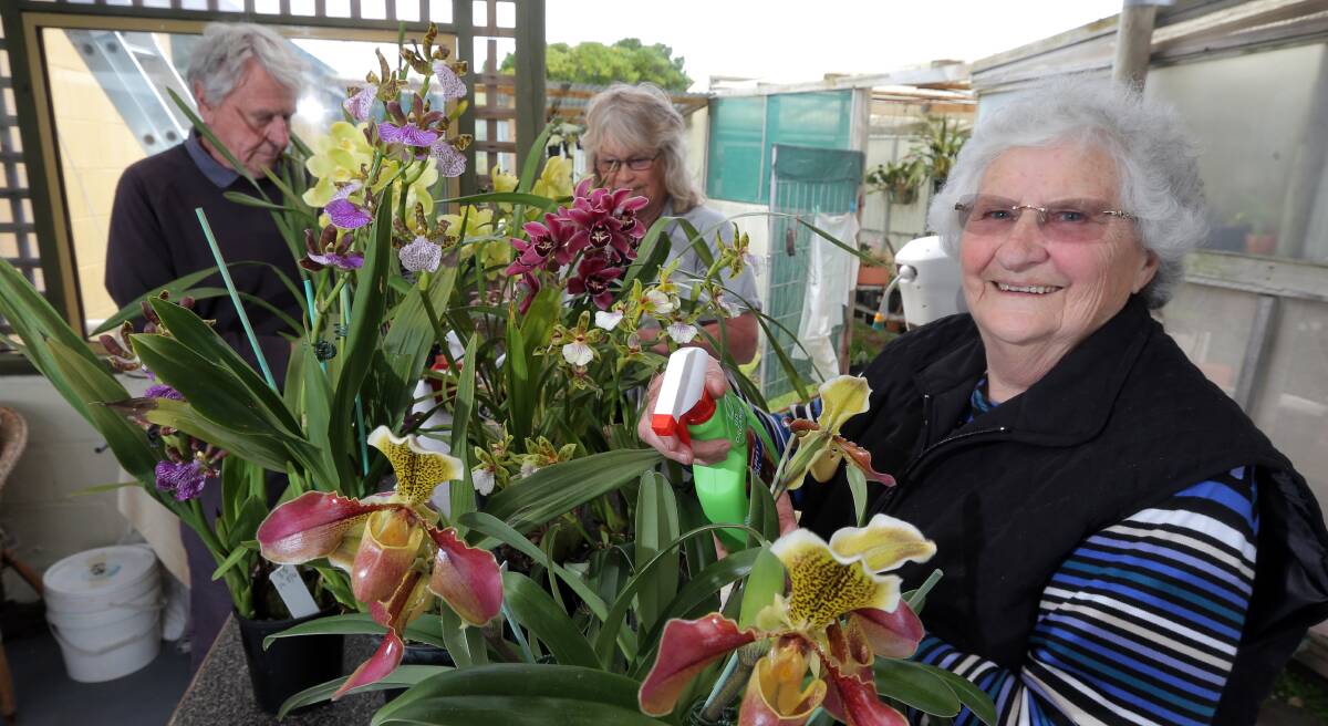 Ready: Warrnambool and District Orchid Society members Paul Horsnell, Helen Gower and Elaine Oliver prepare for next weekend's orchid show. Picture: Rob Gunstone